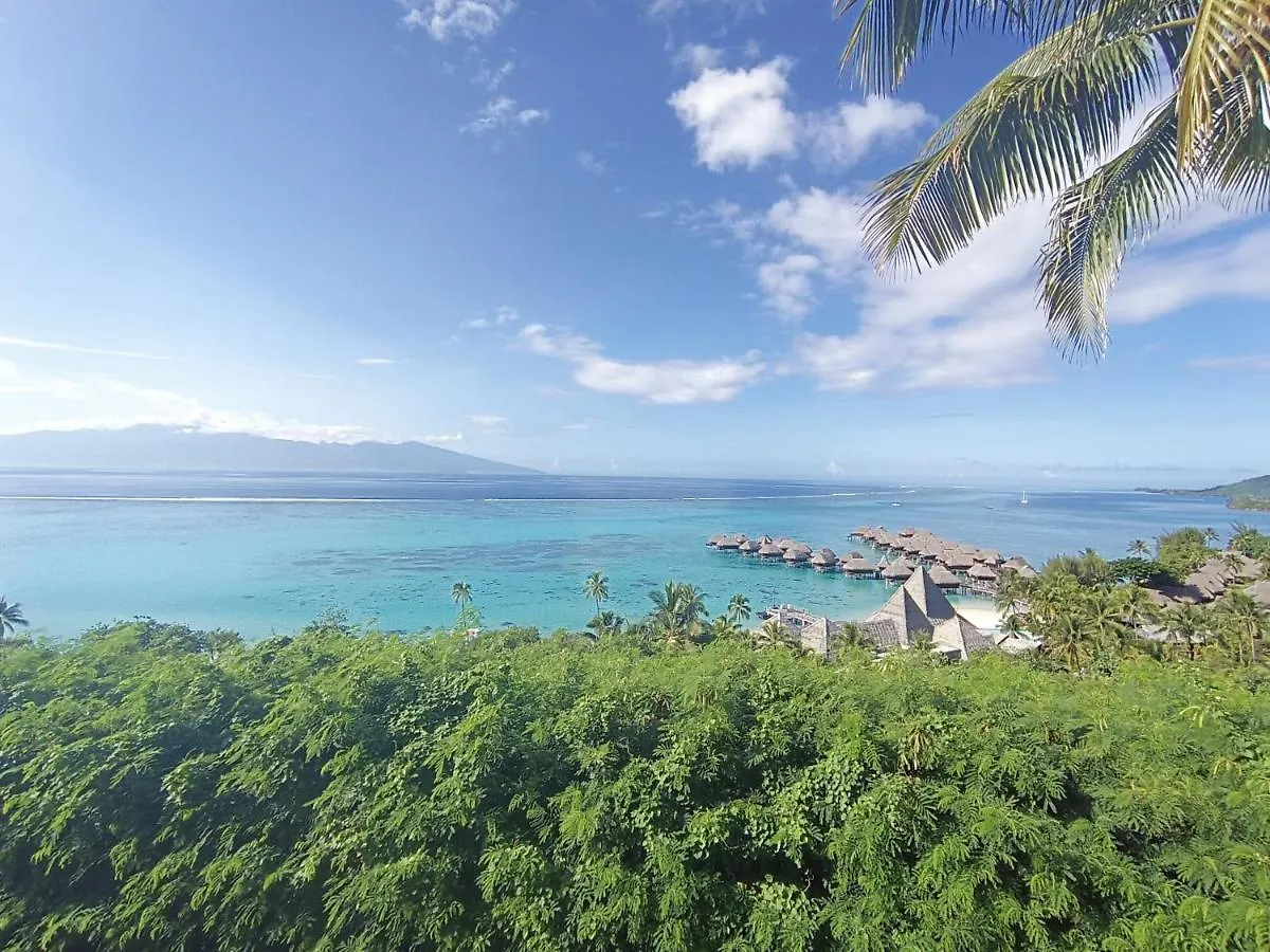 Bungalow Piscine Moorea
