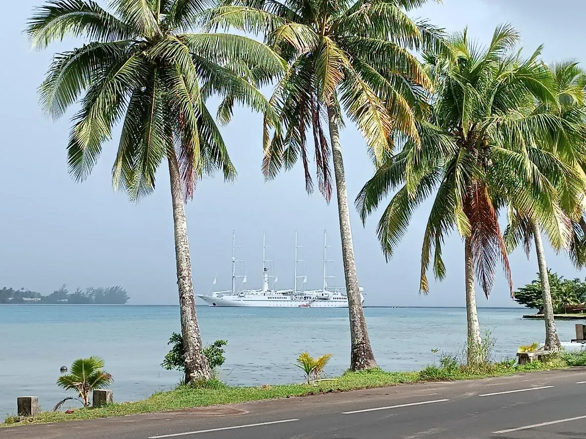 Guest house Bungalow Piscine Moorea French Polynesia
