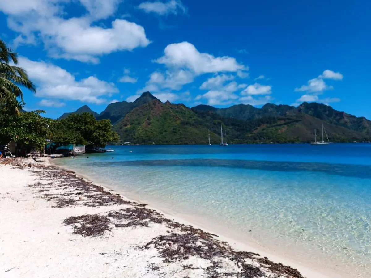 Bungalow Piscine Moorea Pensjonat