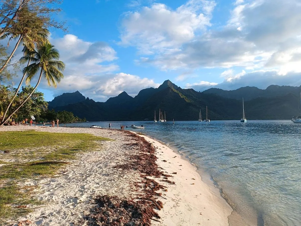 Bungalow Piscine Moorea Polinezja Francuska